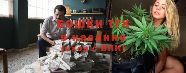 шишки Карпинск