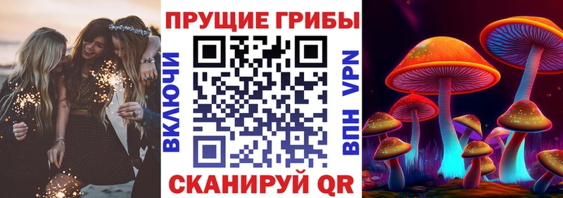 Псилоцибиновые грибы GOLDEN TEACHER  дарнет шоп  Соль-Илецк 